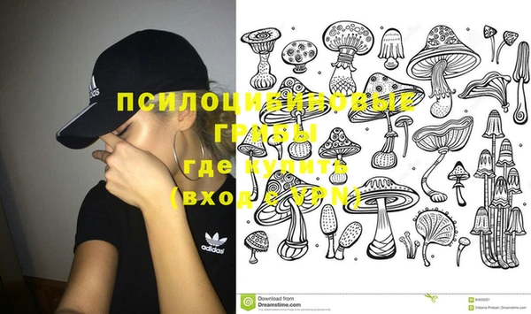 PSILOCYBIN Алексеевка