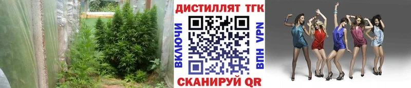где найти   Гуково  мориарти как зайти  ТГК жижа 