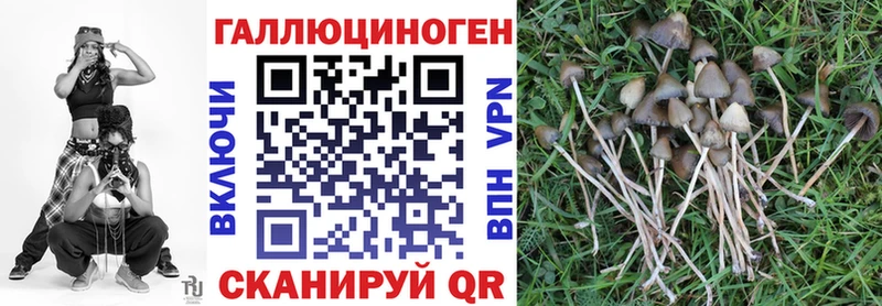 Галлюциногенные грибы ЛСД  как найти   Гуково 