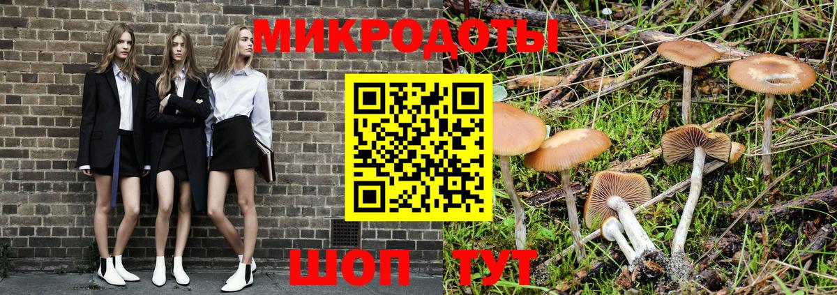 Псилоцибиновые грибы Cubensis  Галлюциногенные грибы ЛСД  Гуково  Вход с VPN 
